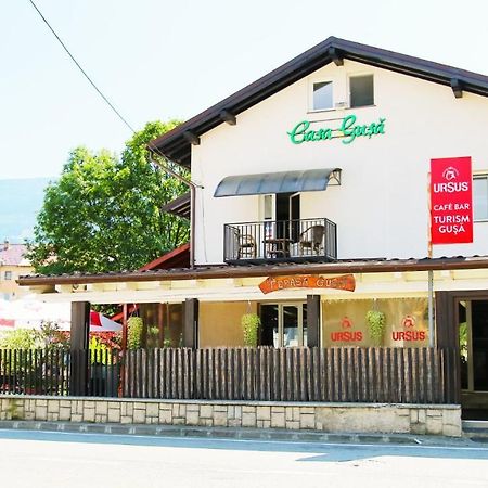 Casa Gusa Borşa Екстериор снимка